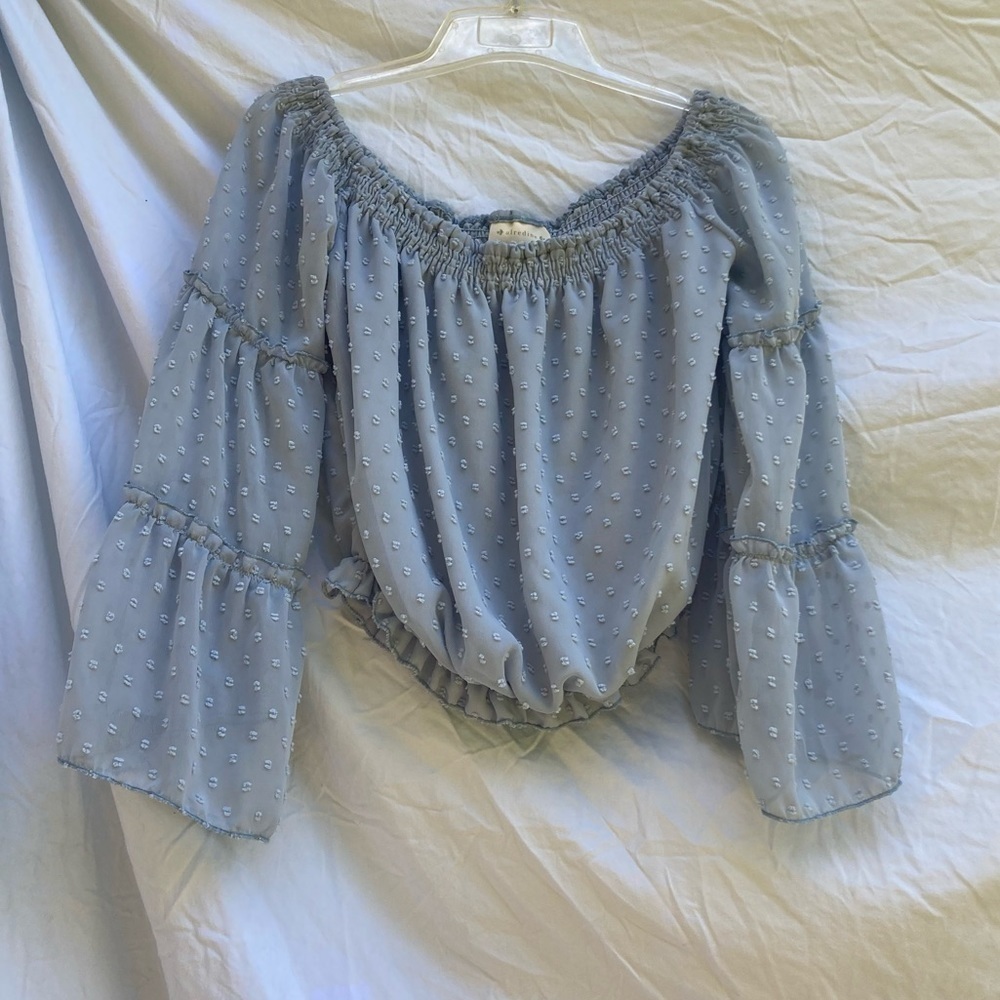 Alredine pale blue Swiss dot ruffle crop top, size large
